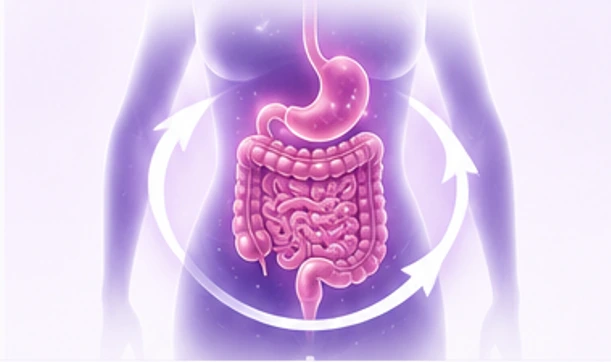 Metabolic and Digestive Efficiency
